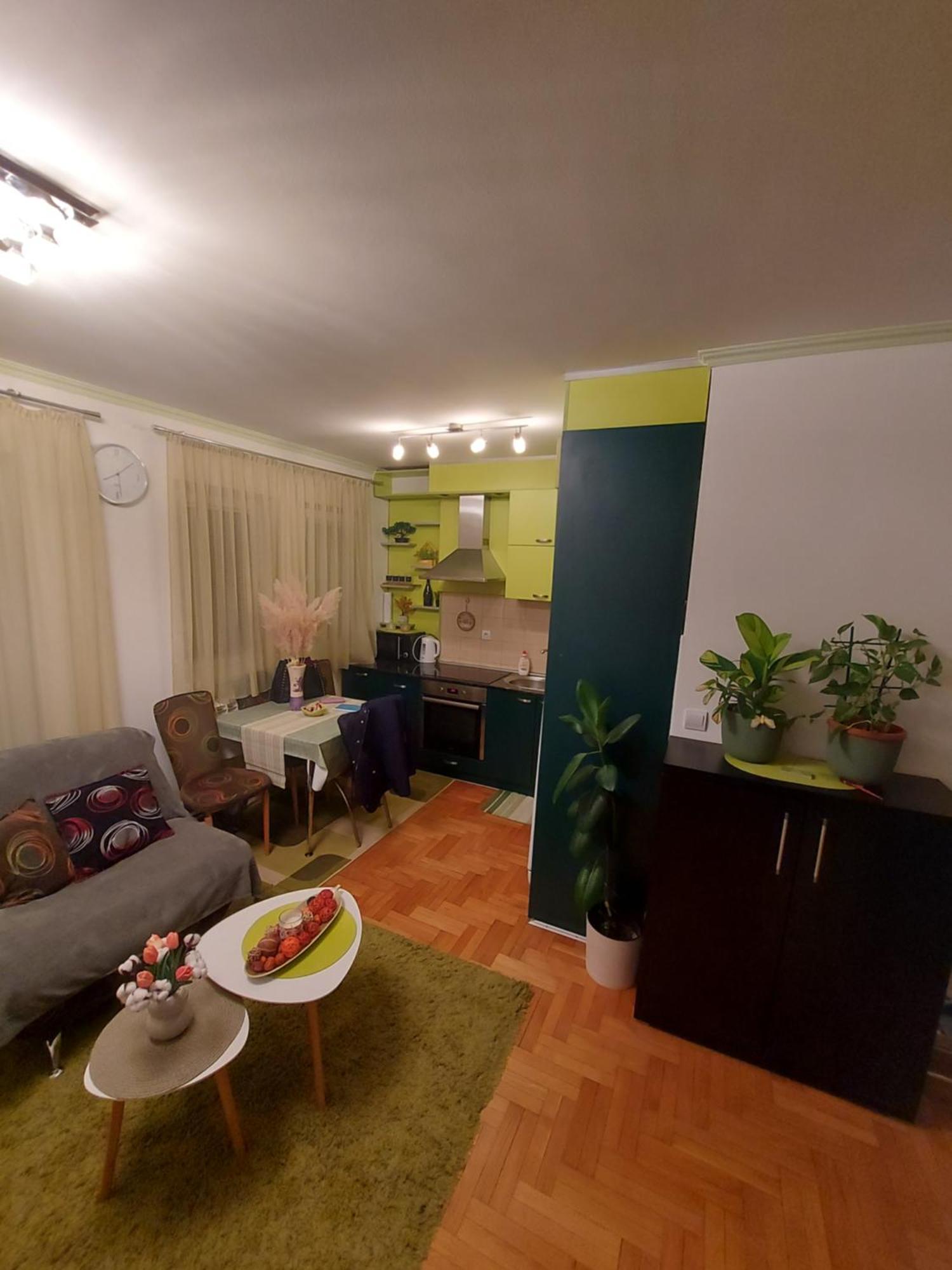 Stancicmilena Apartment Pozarevac Exterior photo